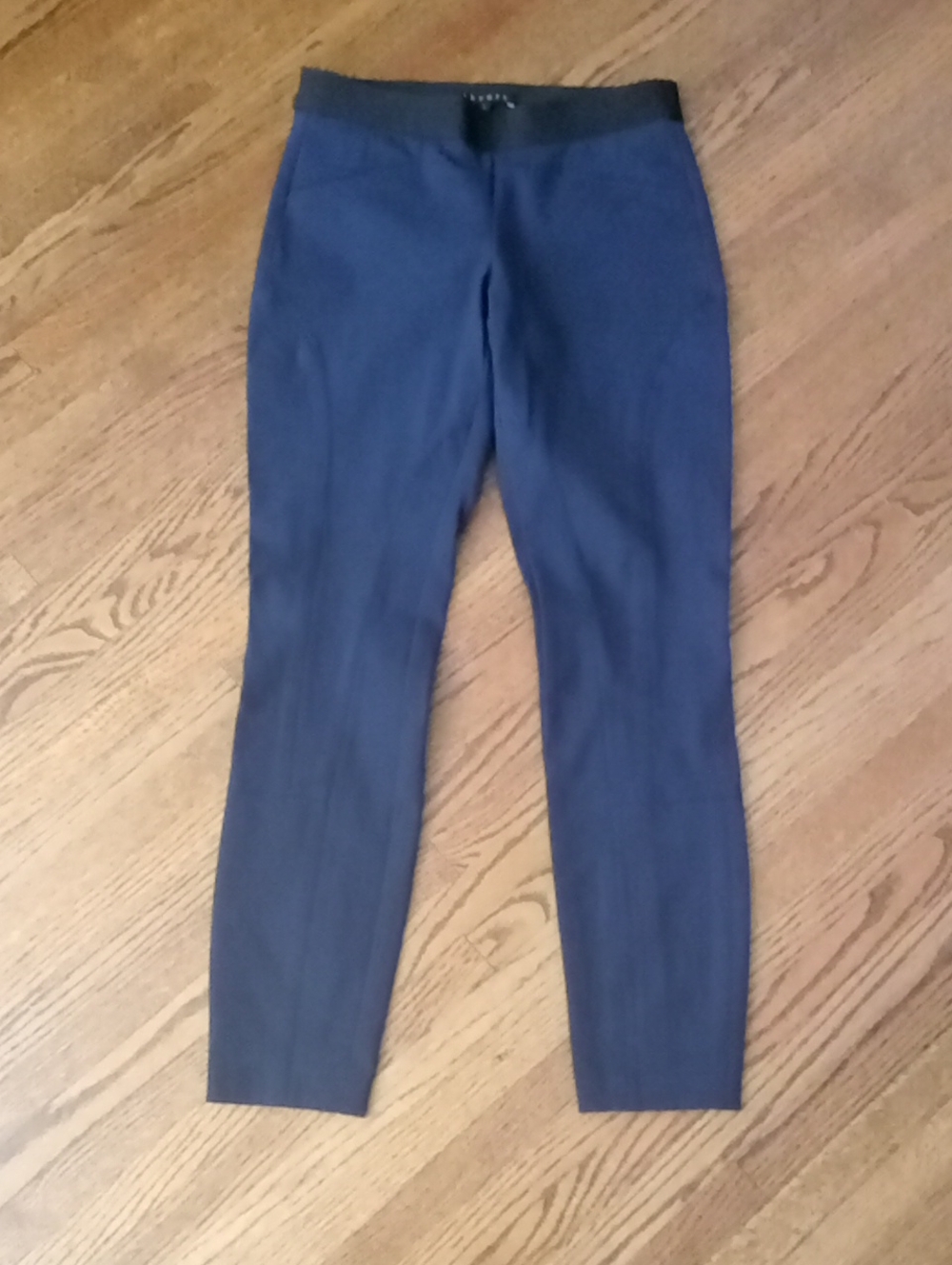 Theory Stretchy Dress Pants with Black Elastic Size 2 W 14" R 8" I 28"